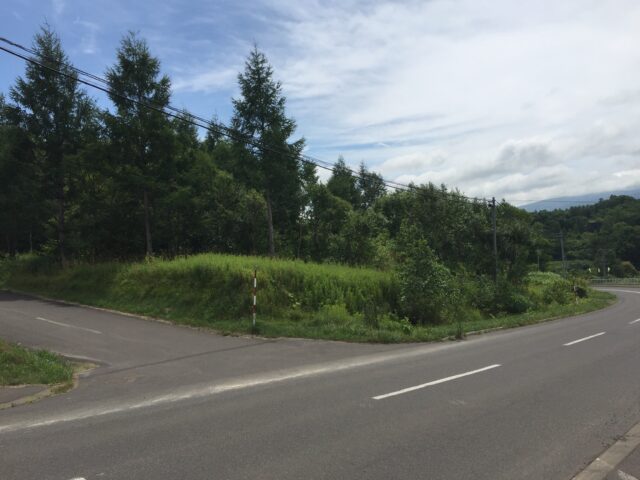Niseko Town Developable Forest Land