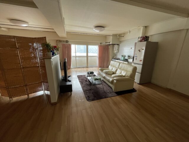 Sapporo - Nakajima Park Studio Condominium